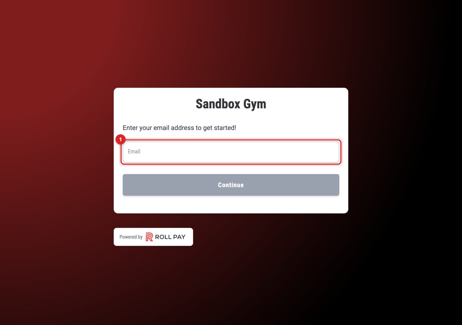 The registration start screen: the academy's name, an email field and a Continue button
